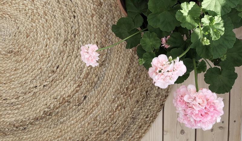 Botanisera bland mattor till uterummet, altanen och balkongen